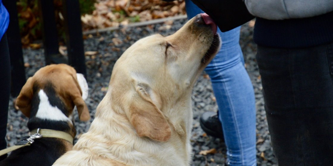 Фото з відпочинку