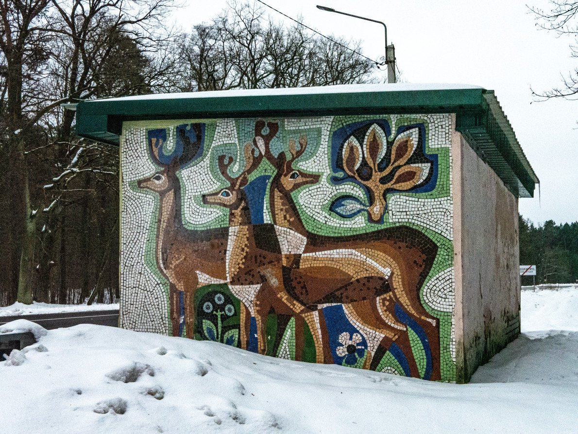 Мозаїчна зупинка села Сокиричі.