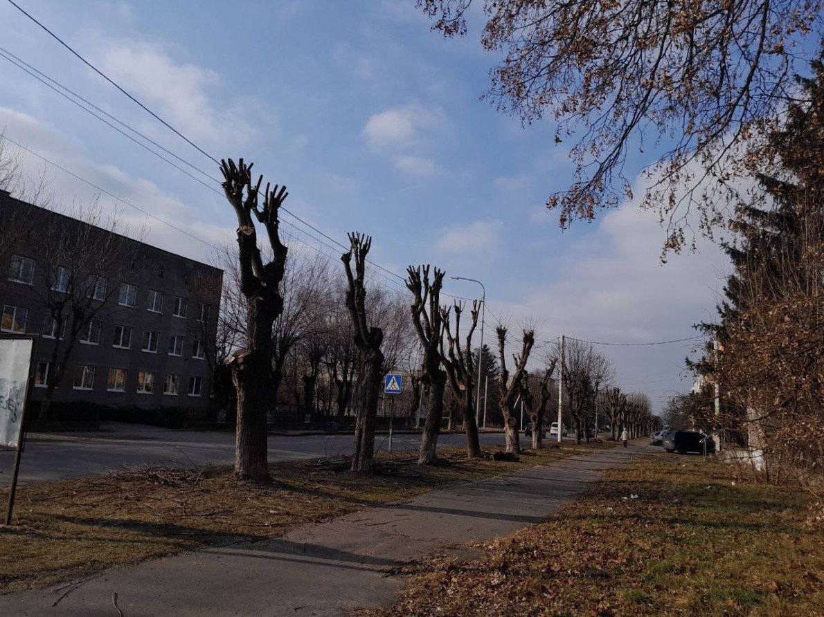 Після обрізки дерев у Ковелі по вул. Незалежності