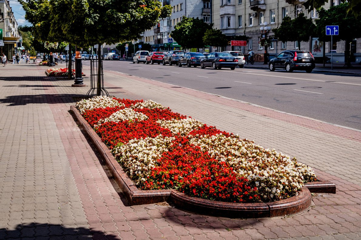 Традиційні клумби на проспекті Волі, засаджені однорічниками. Луцька класика.