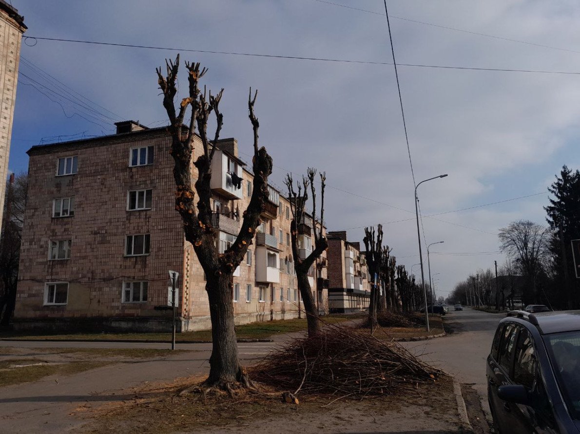 Після обрізки дерев у Ковелі по вул. Незалежності