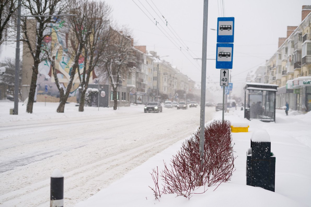 Фото: Олена Колодяжна. Фото: Олена Колодяжна.