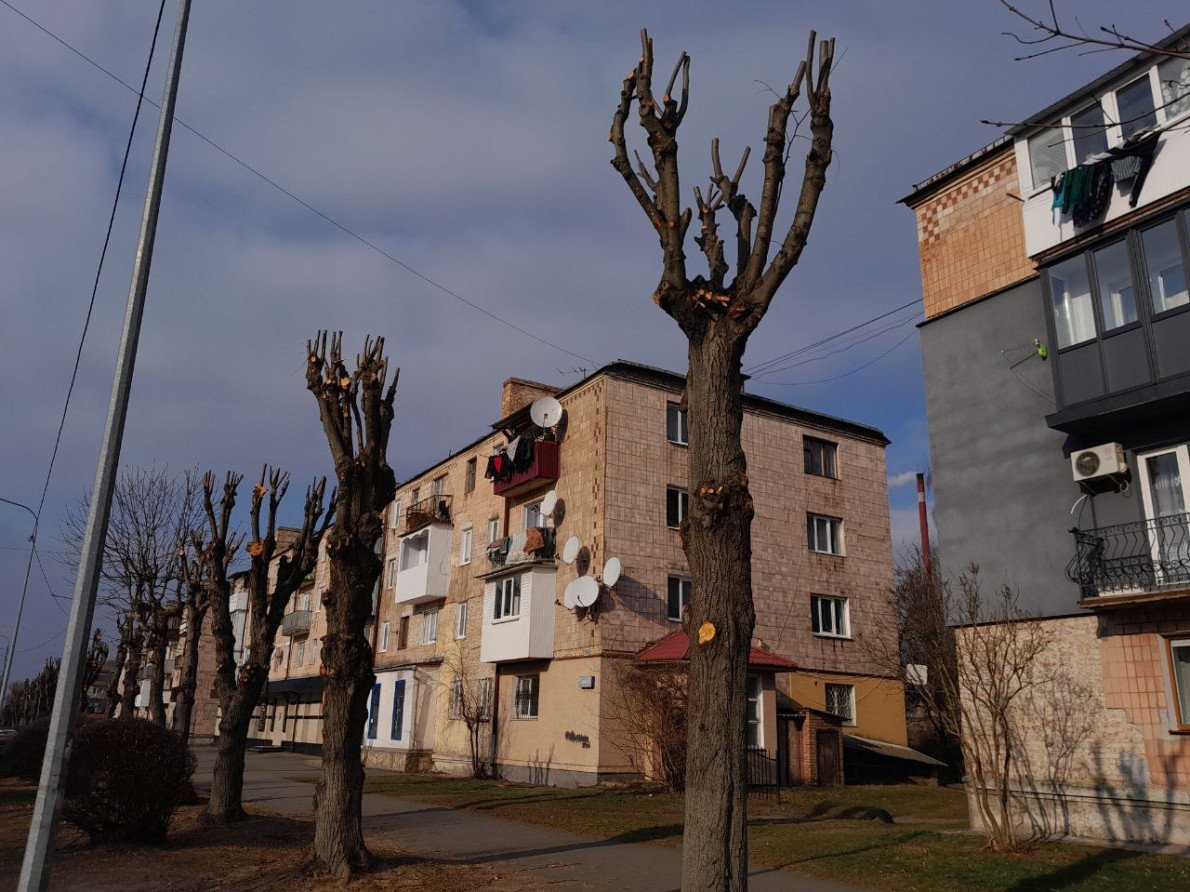 Після обрізки дерев у Ковелі по вул. Незалежності