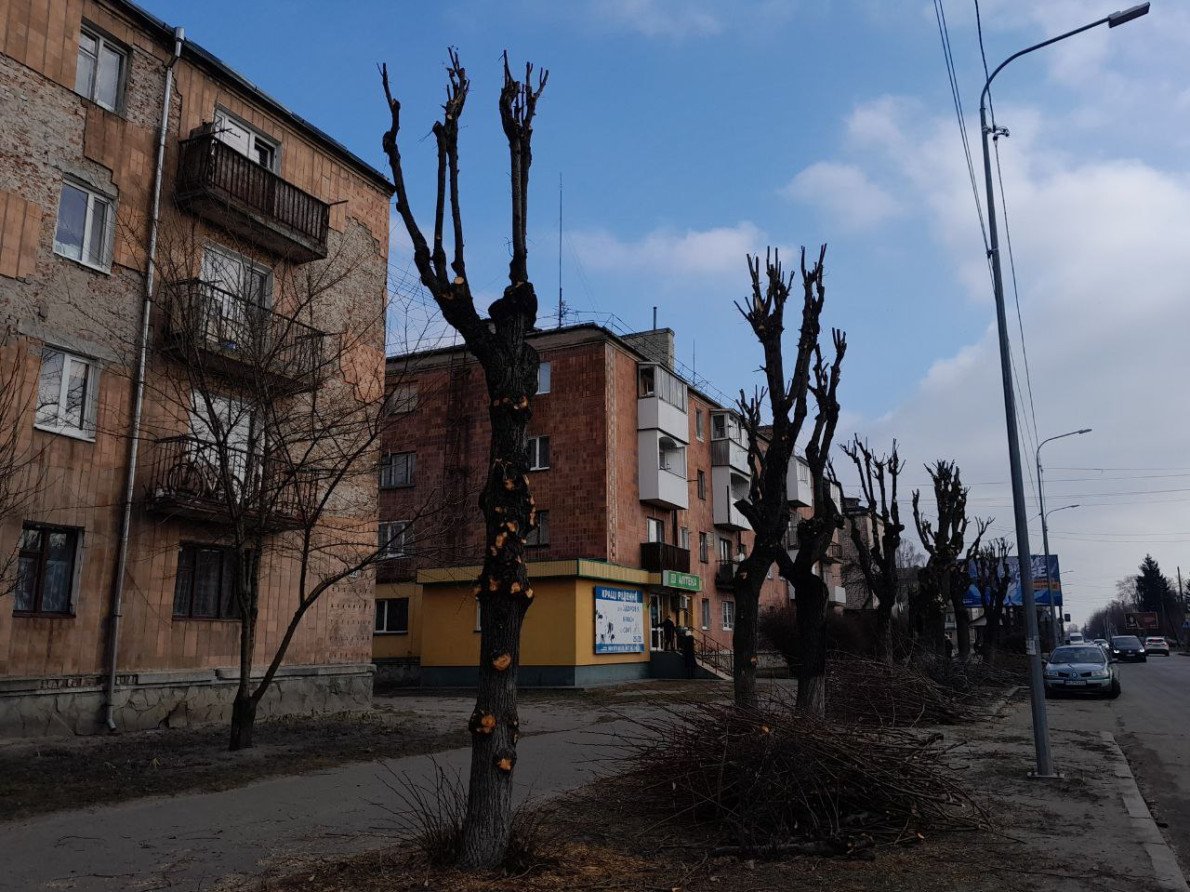 Після обрізки дерев у Ковелі по вул. Незалежності