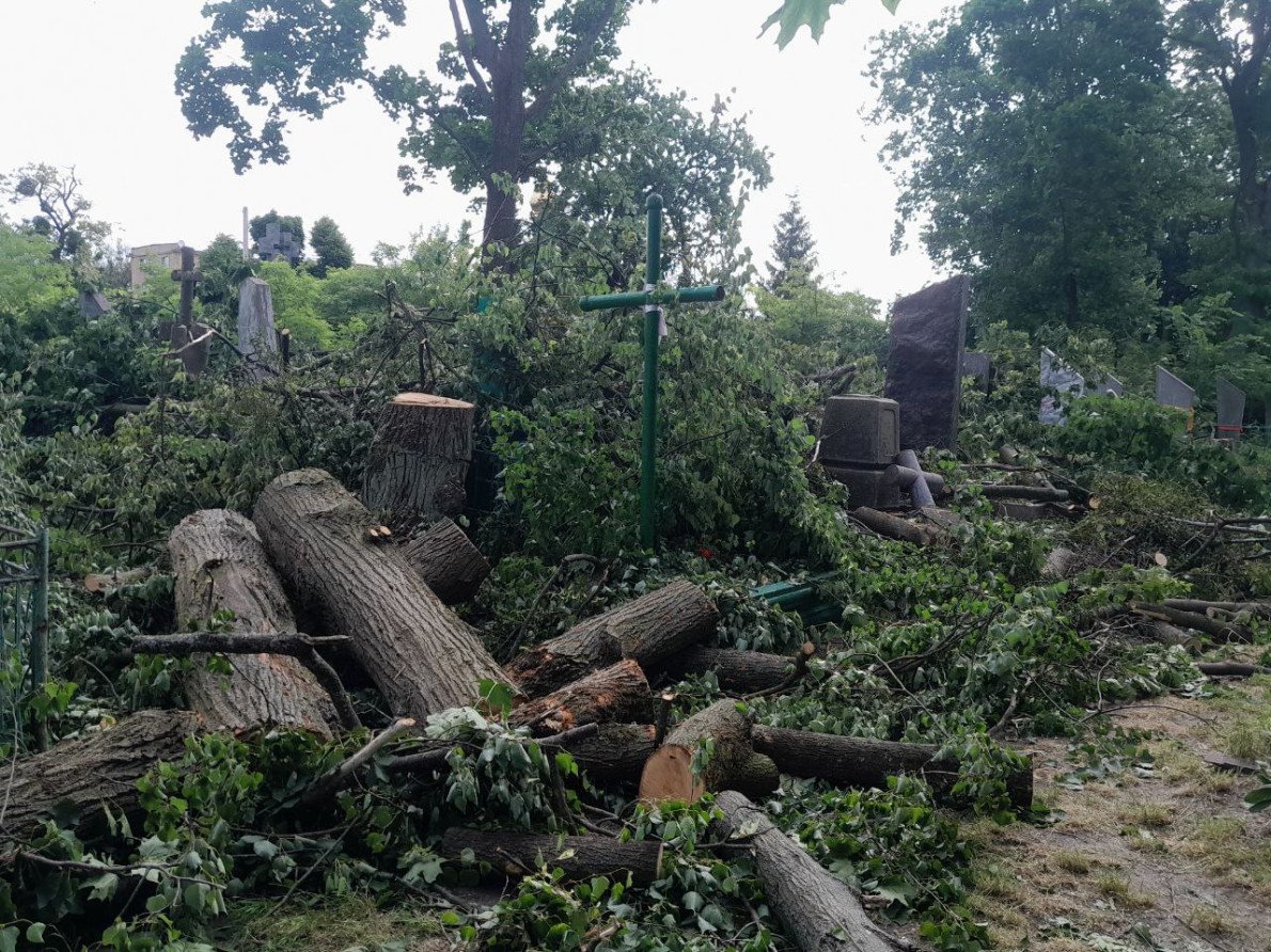 Зрізані дерева на кладовищі