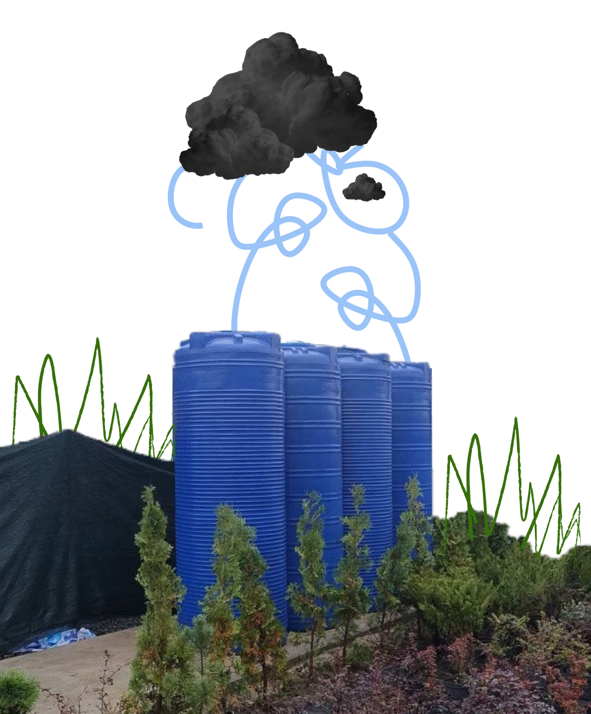 Збирати дощову воду виявилося завданням із зірочкою, якщо не врахувати кілька важливих нюансів. Збирати дощову воду виявилося завданням із зірочкою, якщо не врахувати кілька важливих нюансів.