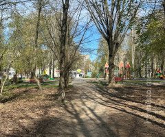 парк дерева простір