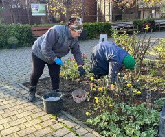 тюльпани зоопарк