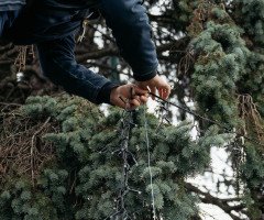 вогники ялинки руки