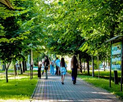 Люди гуляють парком.