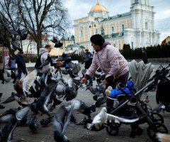 Годують голубів