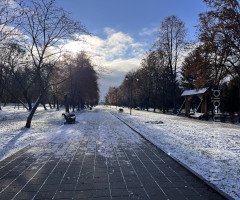 парк місто сніг
