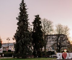 ялинки в центрі міста