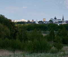 На передньому плані луг, чагарники, а на задньому міські будинки