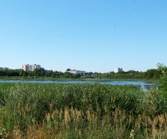 заказник «Гнідавське болото»