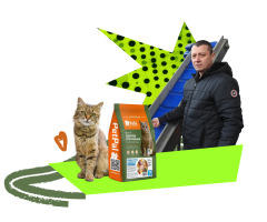 корм, кіт, людина