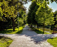 парк зелені насадження