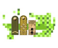 Від солдата до генерала. Звання і погони у Сухопутних військах