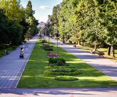 Центральний парк у Луцьку.