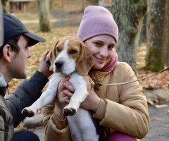 людина з собакою