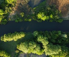 misto.media дослідить і розкаже про луцьких караїмів. Що за проєкт