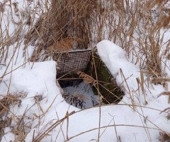 гідроспоруди ставки село