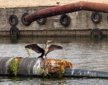 Фото: Державне агентство розвитку туризму України.