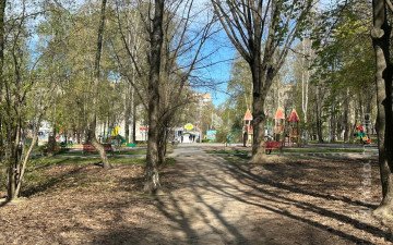 парк дерева простір