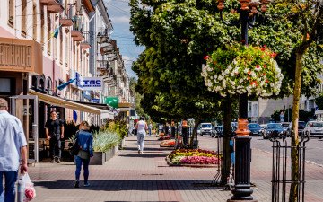 вулиця дерева перехожі