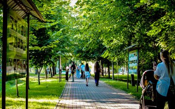 Люди гуляють парком.