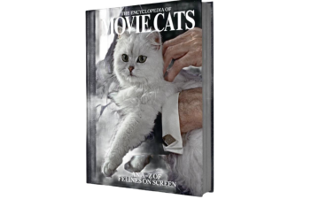 книга про котів