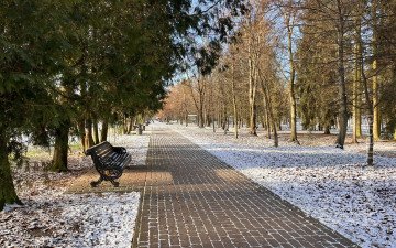 дороги парк погода