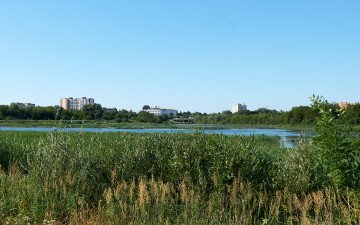 Гнідавське болото