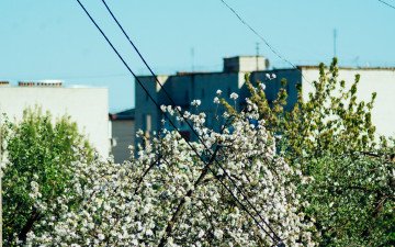 весна в Луцьку.