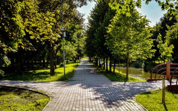 парк зелені насадження