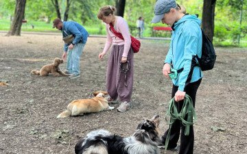 собаки дресирування люди