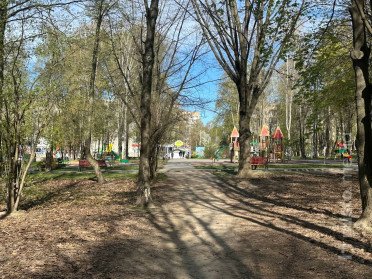 парк дерева простір