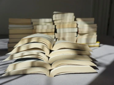 книги література сторінки