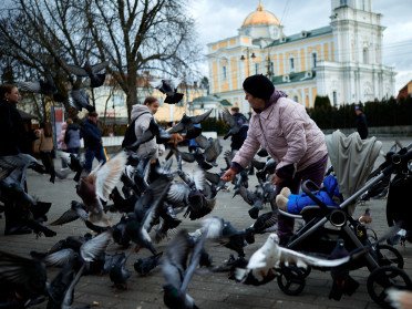 Годують голубів