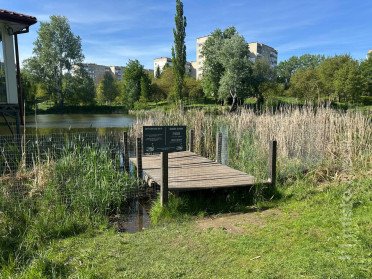 пірс біля річки