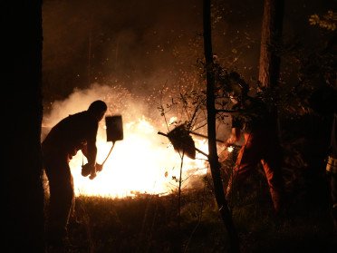 Ніч, два чоловіка гасять пожежу у лісі серед дерев.