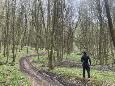 людина в лісі