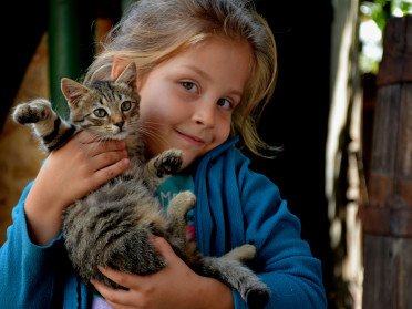 Дівчинка тримає кошеня