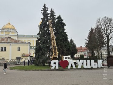 ялинки в центрі