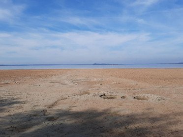 На Волині обміліли водойми. Показники опустилися до історичних мінімумів