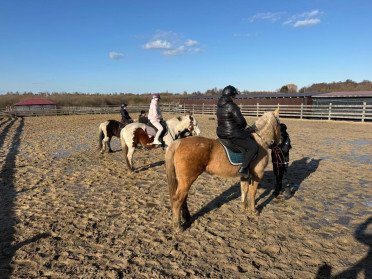 У Луцьку відновили заняття з іпотерапії для ветеранів. люди на конях
