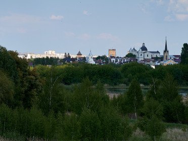 На передньому плані луг, чагарники, а на задньому міські будинки