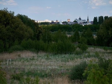 Панорама Гнідавського болота.