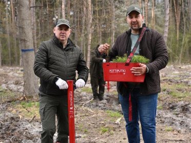 люди висаджують ліс