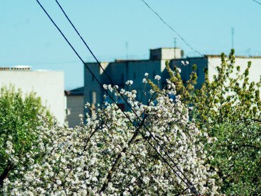 весна в Луцьку.